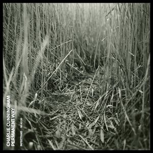 母狗园安装包最新版本
