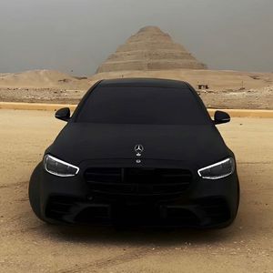 母狗园安装包最新版本
