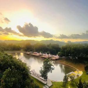 母狗园安装包最新版本
